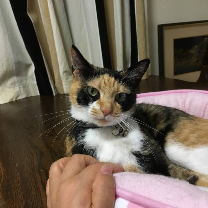 241569ae 9d24 46d3 a805 3700ad2999c4