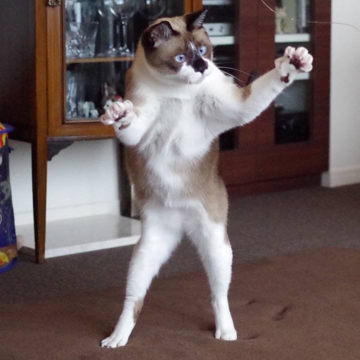 2415752e 53e5 474e 92f2 737567073de2