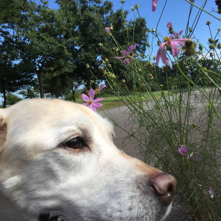 241643c8 8143 471e a4ab 0028b3e0a867