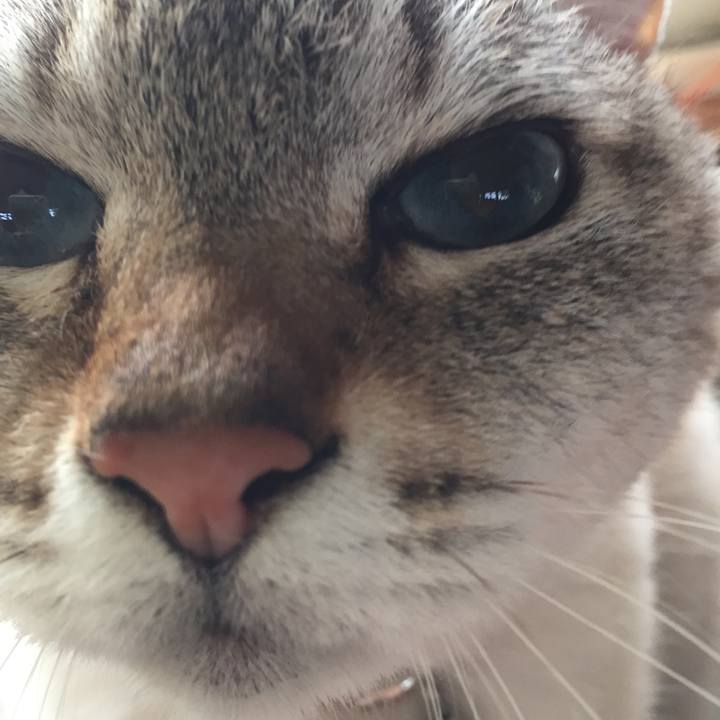 241672ca 9419 423d 863d 3b56441d8a59