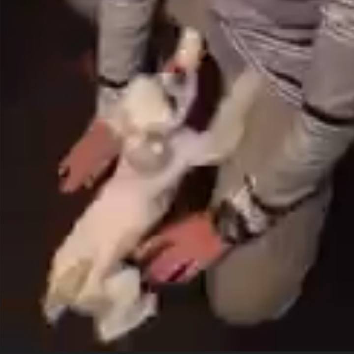 24167b3a 21b5 49cb b514 e0dc4bdd1ea0