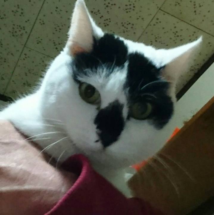 2416a60c 6e07 4490 bd4a 169e7a074a6f