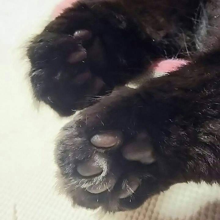 2416e86e b9a7 466e 8f24 fe76a7c5a3b3