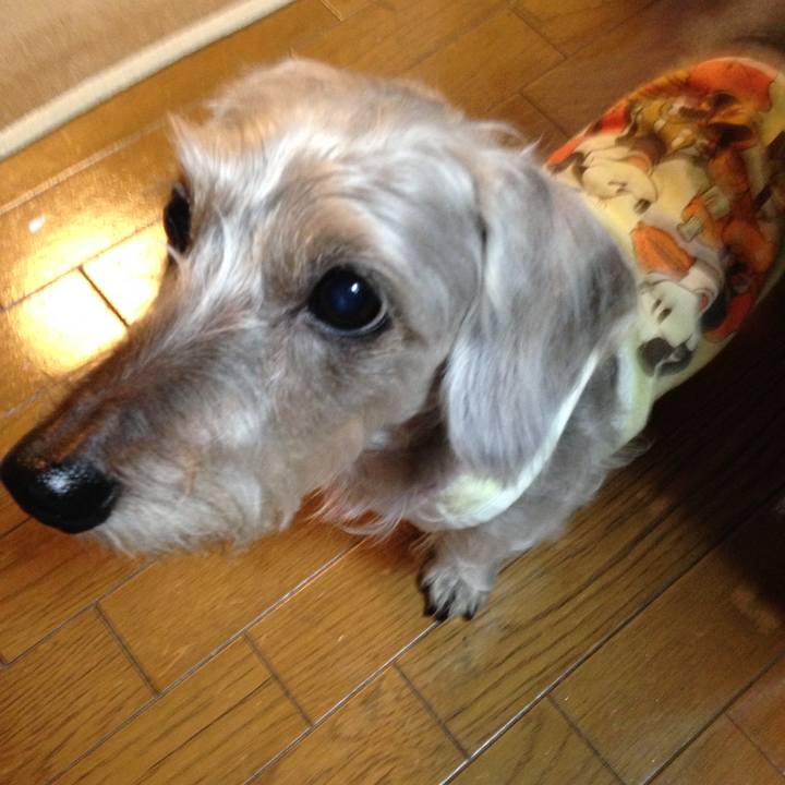 2416fc15 1755 415d b351 566f61240fe6