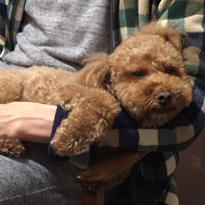 24181340 7e79 44f7 8fac 9e1af178ad64