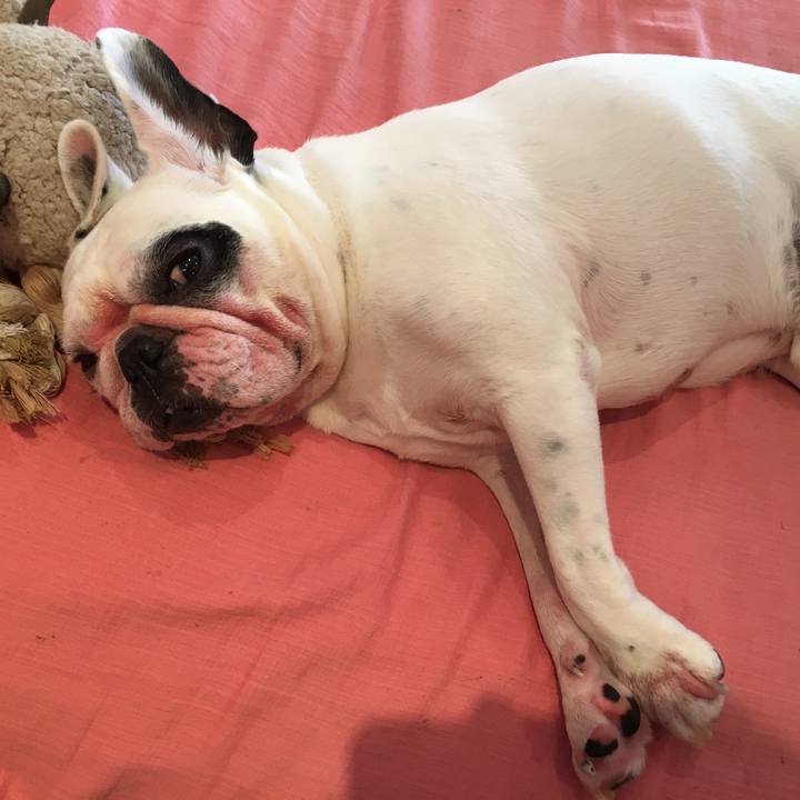 24183256 e3d6 432f b602 1604ef6e2f6b