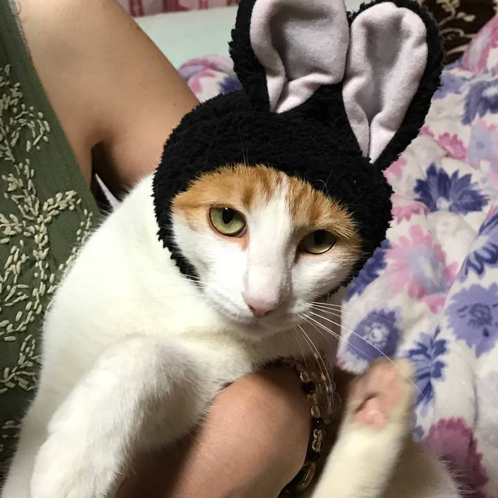 24183f46 2751 4e24 8a1f e43b21f6b232