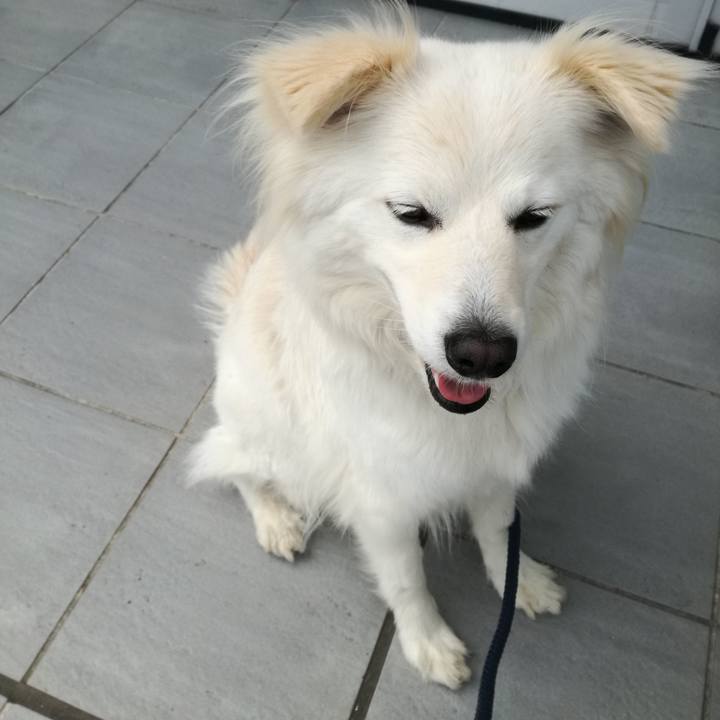 2418aa43 5a0c 4b2a 9d52 63009ac1e7be