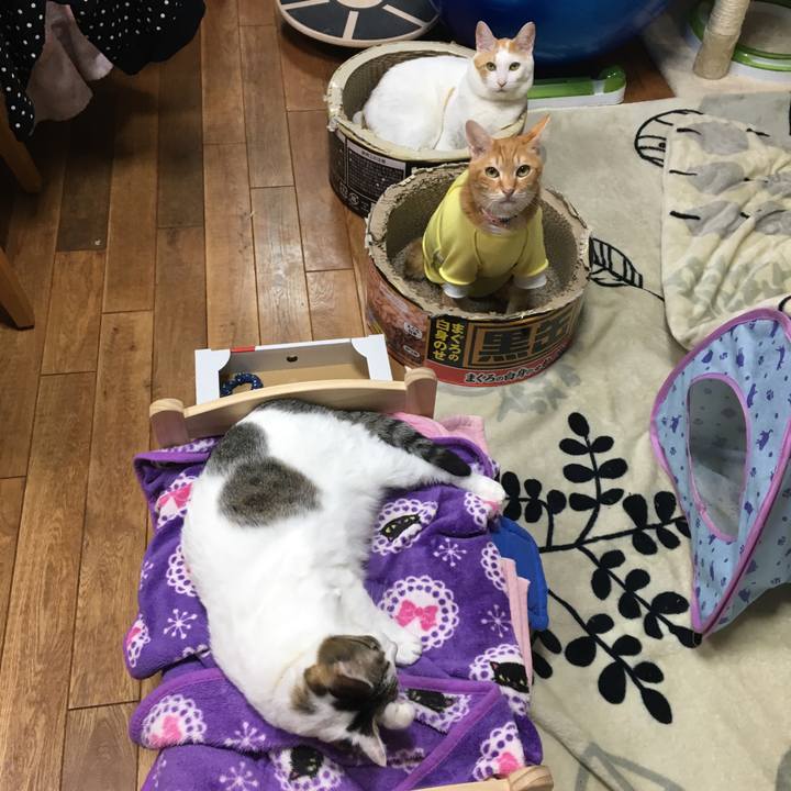 2419435d 334f 46ce a5f2 d9025fdc7868