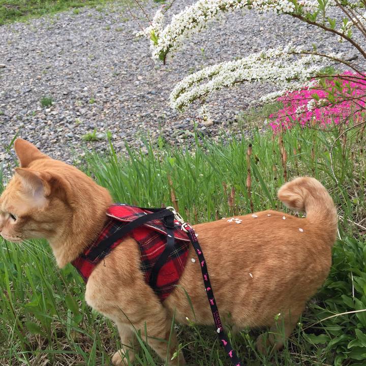 24195b94 0db2 4621 891a 4e90197adb9c