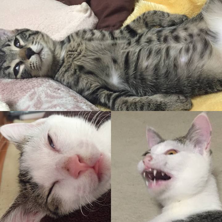 24198fe5 f238 40db a65e be49a65c0288