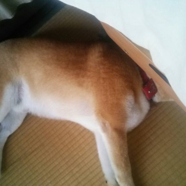 2419b6b6 8971 4921 a0cb b8e88891a161