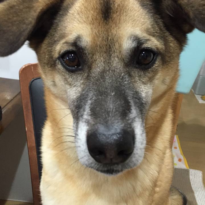 2419cbc8 1c37 4514 ba8a ee1a6e39b78a