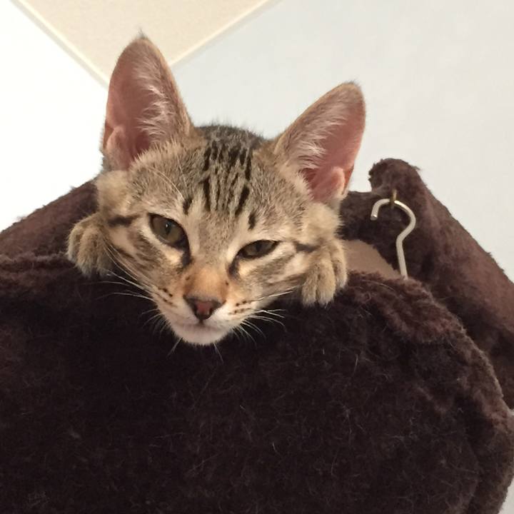 241a1ef6 c388 4596 af0f 3aa1f76b059b