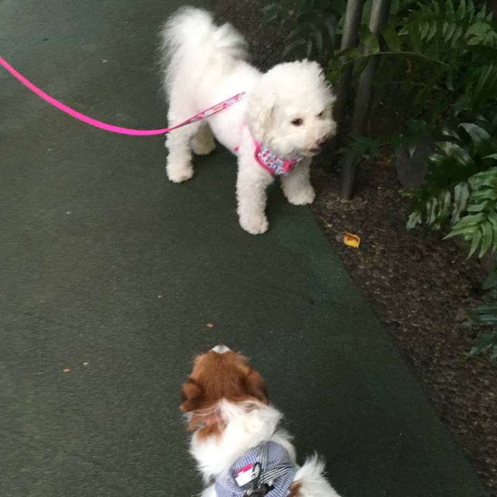 241a6477 0e8f 404a a046 1e8aaa2073b1