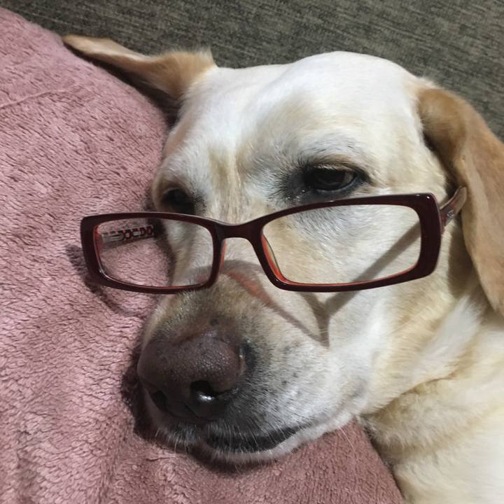 241adc26 21ad 437f 823d 0100982c0ab8