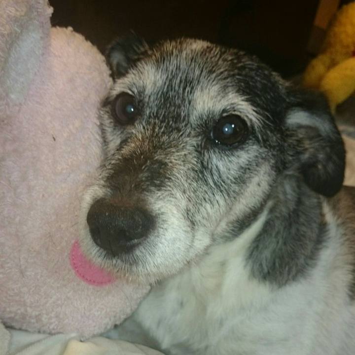 241aebe9 5e3b 4e4b a6c3 07e59fb3f389