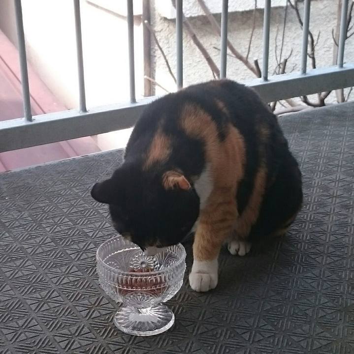 241b173f 6539 457e 99fc 2b73d3a900bd