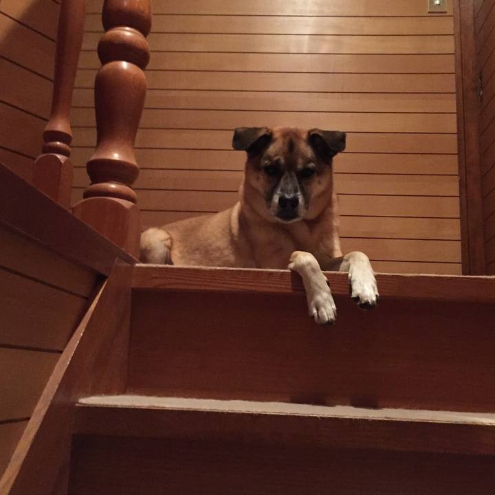 241b4395 fb1e 45ea b12f 59b0a798d801