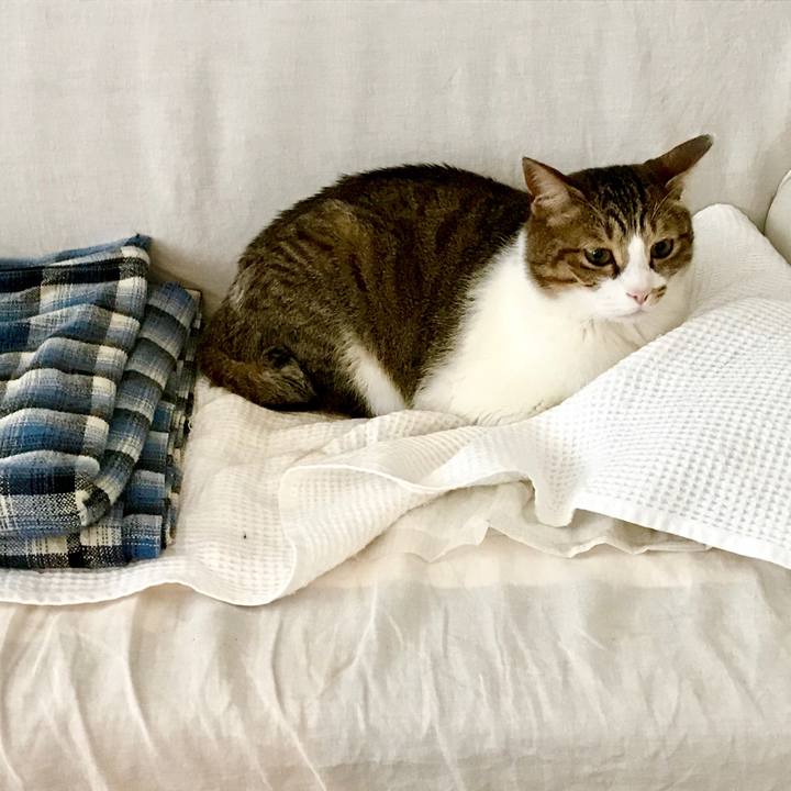 241bf118 d54e 443a 9ca8 70ef155e6762