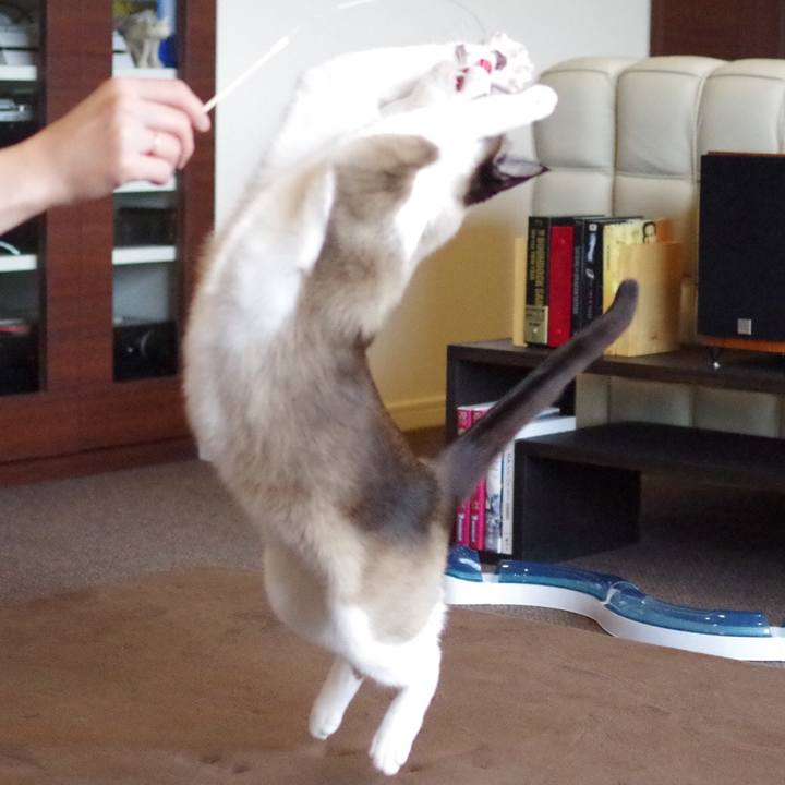 241c0473 ed17 4e72 810b ab3b08db6808