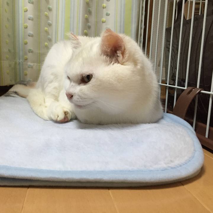 241c8db9 6754 4b3b a2f0 2558d487efc9