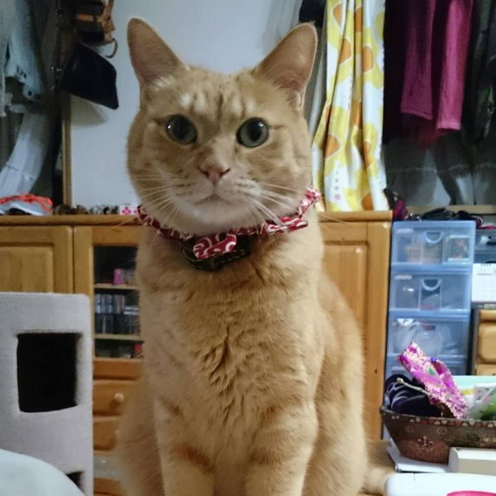 241cdef8 a89d 44dd 934f f39b3b52fa93