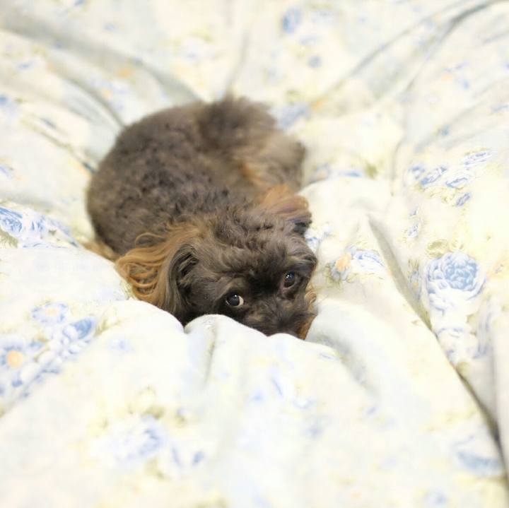 241cf3ac ce7c 4f37 a762 81f7e5a4f6b0