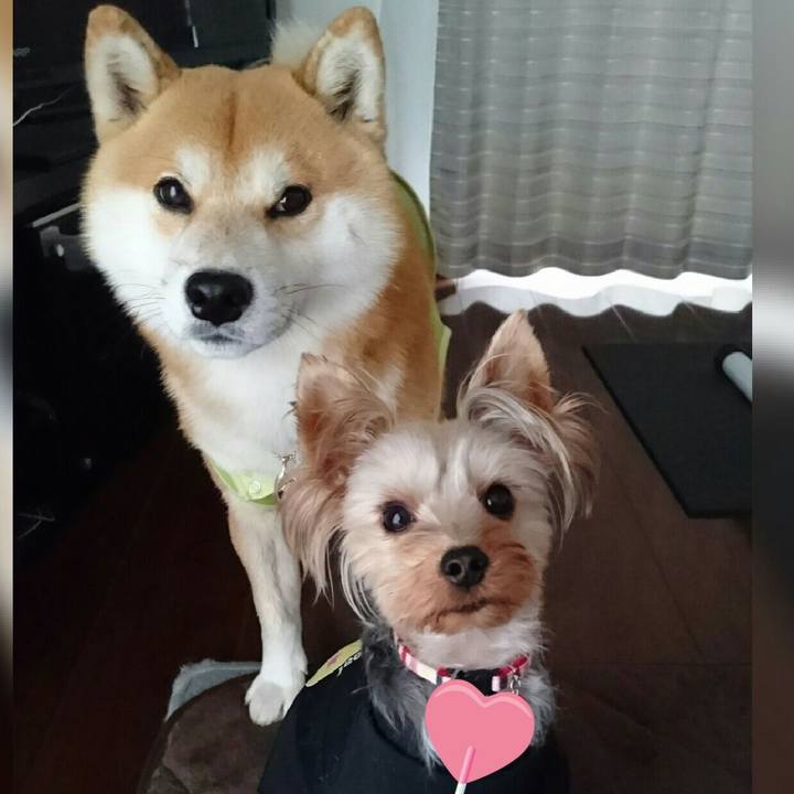 241dc311 d7b8 4bdc 9ac7 e993911f4e2d