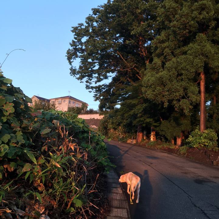 241e2c32 2842 48c8 a8d1 62607d69e736