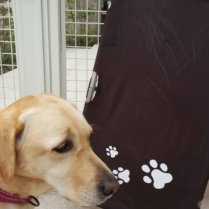 241e39b9 6352 42e4 abad d3f020b7fa04