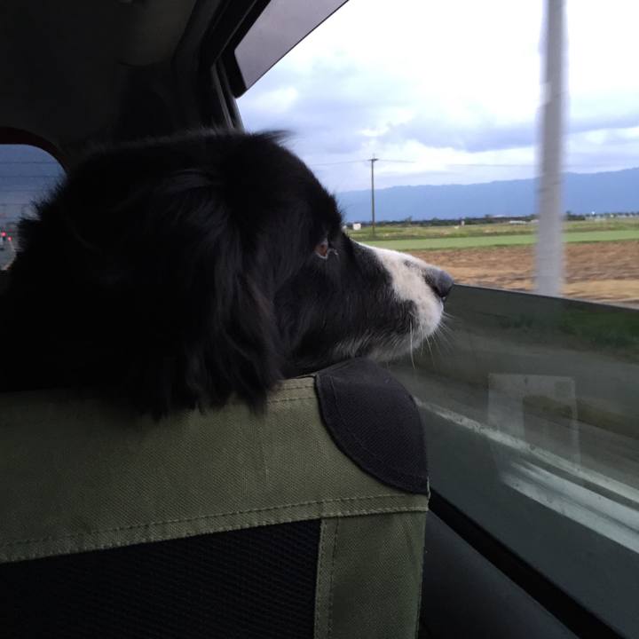 241e4d5a 2adc 452d 8fbb 99504b923831