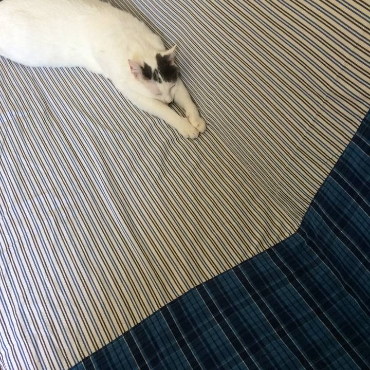 241f11bc 2332 4302 ab24 baa4177f2d49