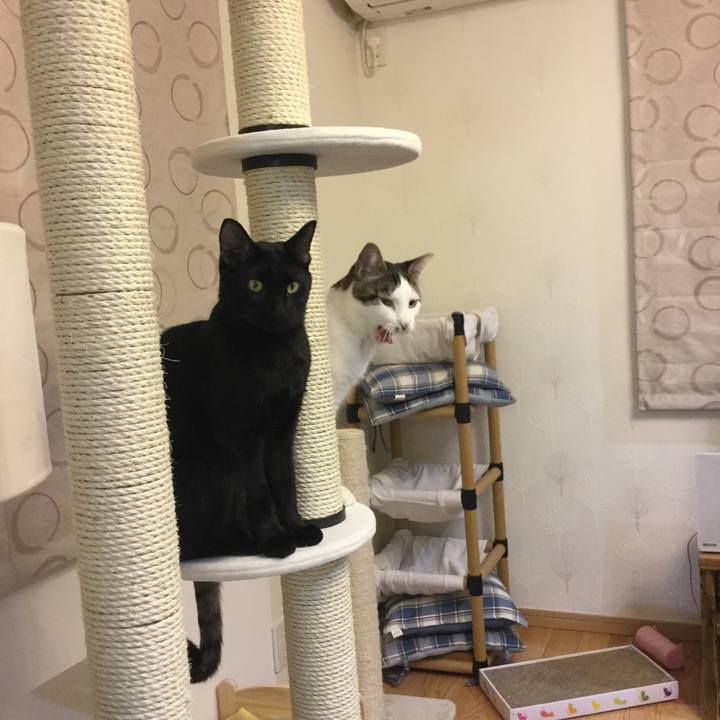 241f3aea 879b 47f3 baf9 f50afe9d2735