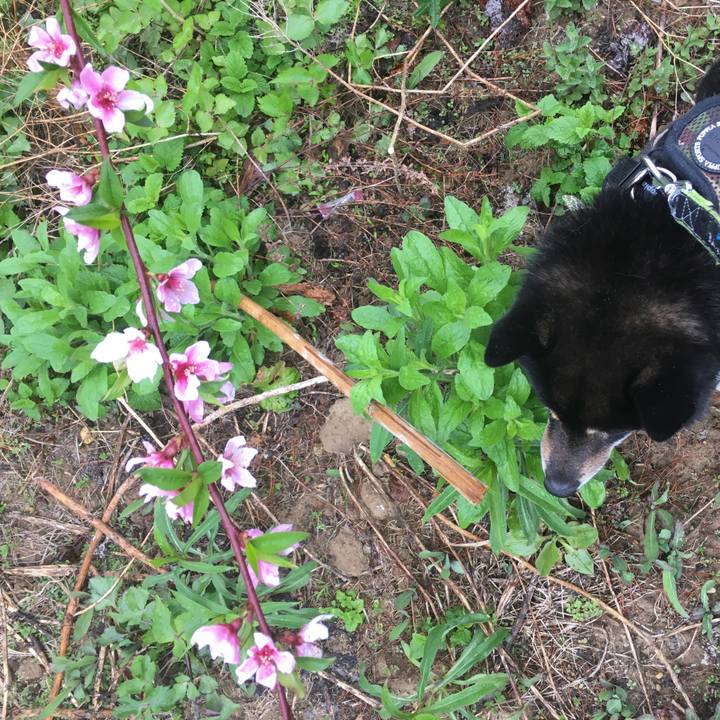 241f54fc b84e 4a16 91a7 9d51416e00b6