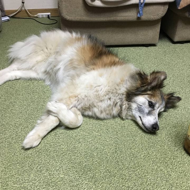 241faf3d 177e 48e2 9efa 012753fb528b