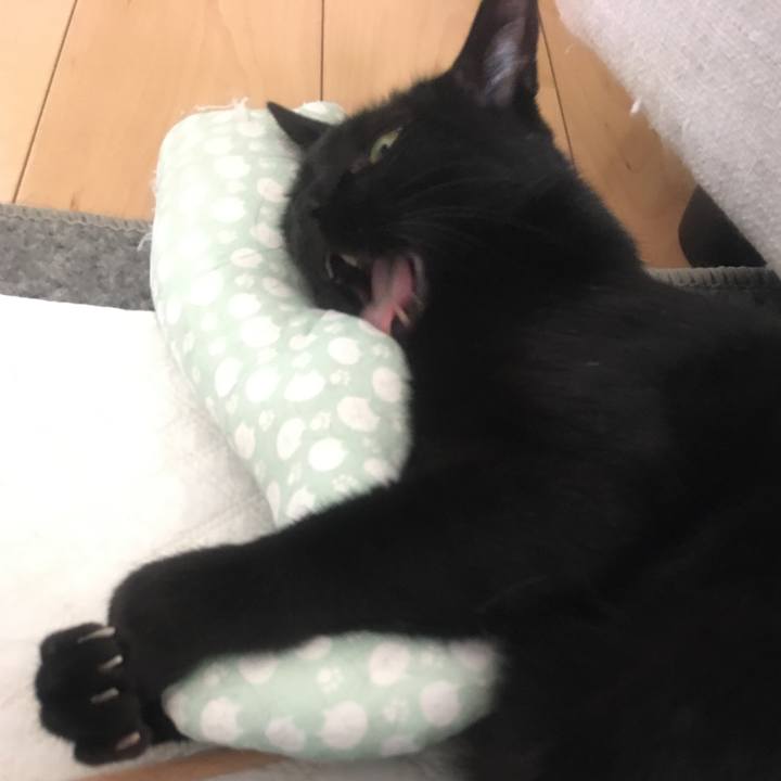 24205e3c 8679 4899 9e78 20cf11311666