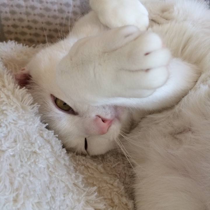 2420d600 0dd5 423f a2ff 5344359a1f6f