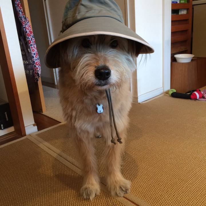 2420f96a 32cc 49a9 9fe3 e5e0cc98eb22