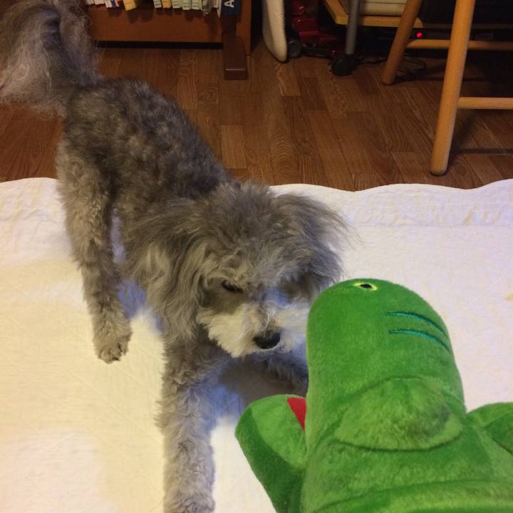 24218e50 0ed3 4d5d a51d b1527e92f846