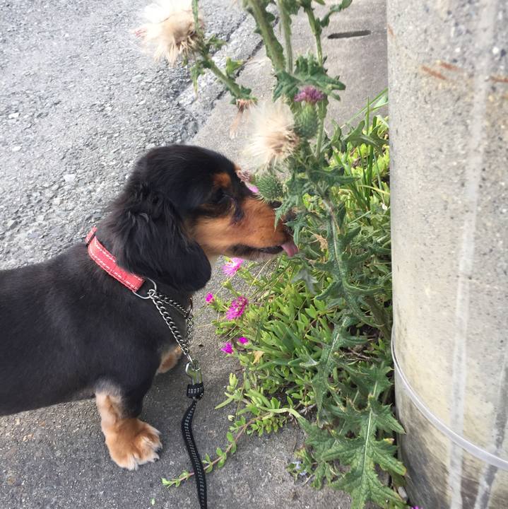 2421b02d ff08 4a7d b81e 47778231366e