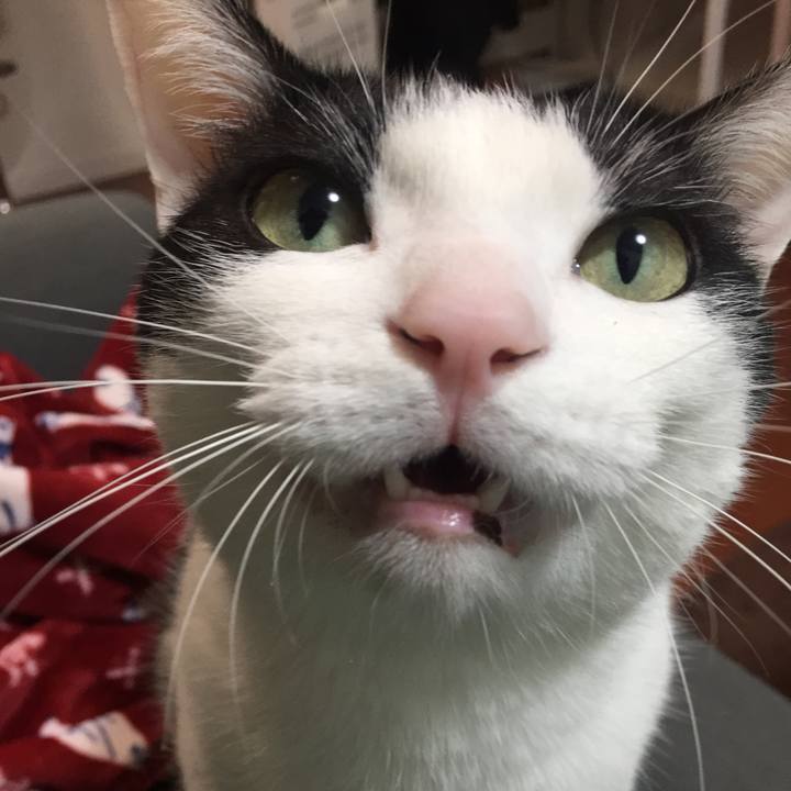 242213e6 b6d0 47de ba2b b5245104ef50