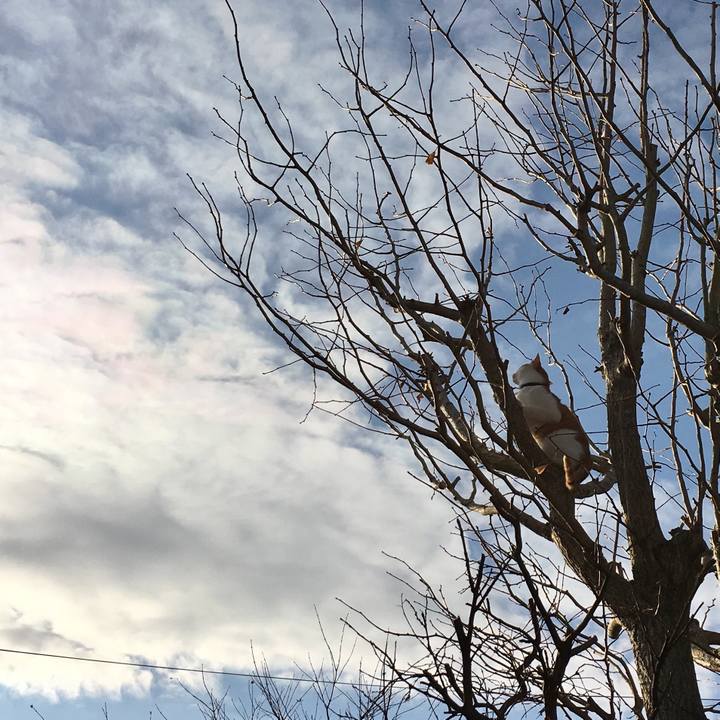 2422198f 1708 4894 b54d 33bac996ca4a