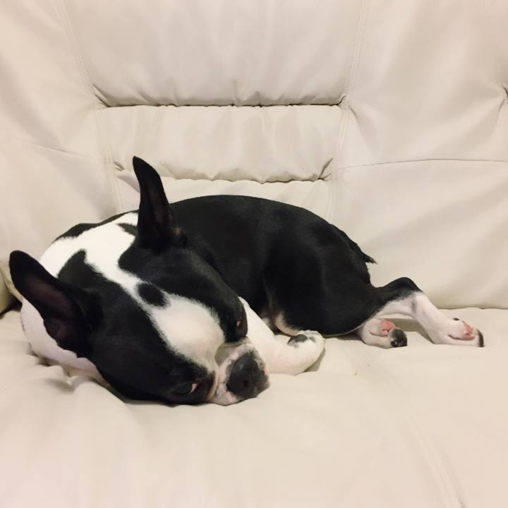 24221ab0 14c2 4bcb be68 171a7825101b