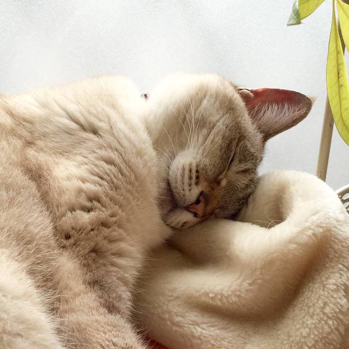 24225f25 e25a 4ce2 acc0 90e499f34953