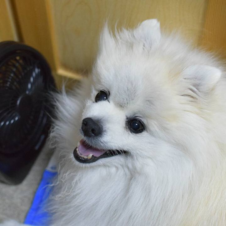 2422d99c 43ce 4e55 918e f6569a7ba039