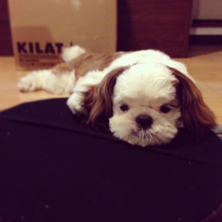 2422ef2a d5b0 42f0 99b3 21b3397c74d0