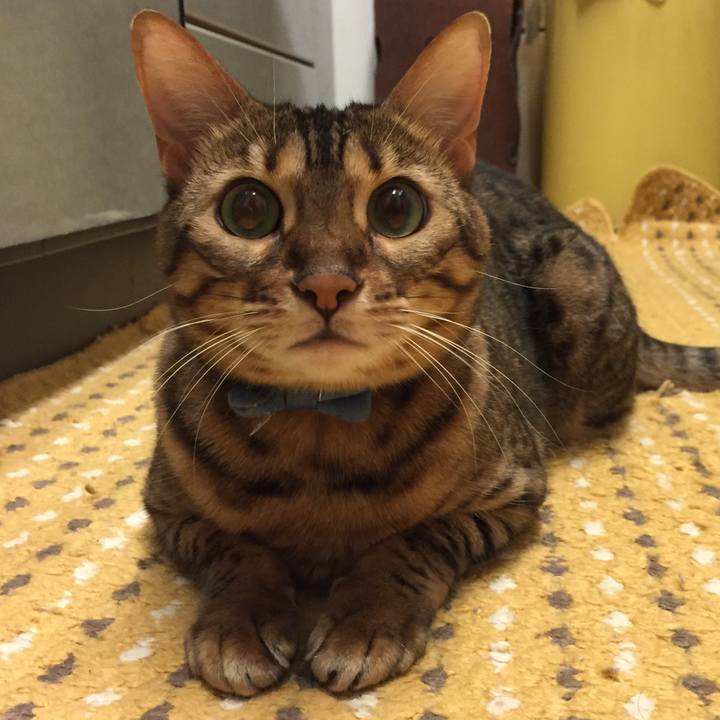 2423046d aab1 4174 b272 e11a606da06f