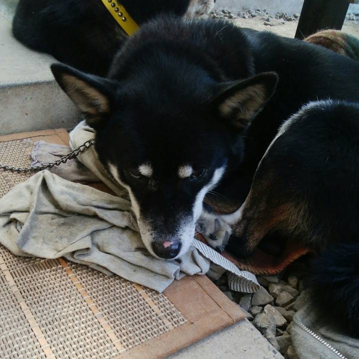 242319c8 4d44 449c bc41 d3be2e617895