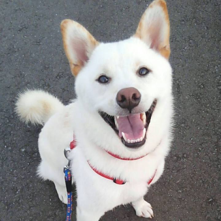 24237da5 f4fd 442d accf 3665daeed992